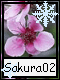 Sakura 2