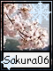 Sakura 6