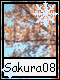 Sakura 8