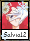 Salvia 12