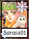 Sarasa 1