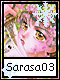 Sarasa 3