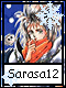 Sarasa 12