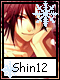 Shin 12