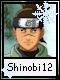 Shinobi 12