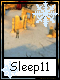 Sleep 11