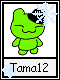 Tama 12