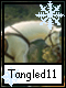 Tangled 11