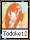 Todoke 12