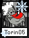 Torin 5