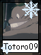 Totoro 9