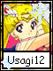 Usagi 12