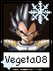 Vegeta 8