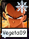 Vegeta 9