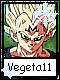 Vegeta 11