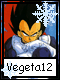 Vegeta 12