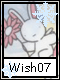 Wish 7
