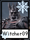 Witcher 9