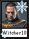 Witcher 10