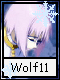 Wolf 11