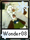 Wonder 8