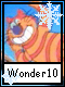 Wonder 10