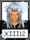 XIII 12