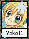 Yoko 11