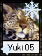 Yuki 5