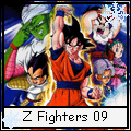 ZFighters 9