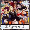 ZFighters 12