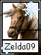 Zelda 9