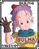 Bulma Master