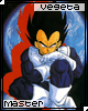 Vegeta Master